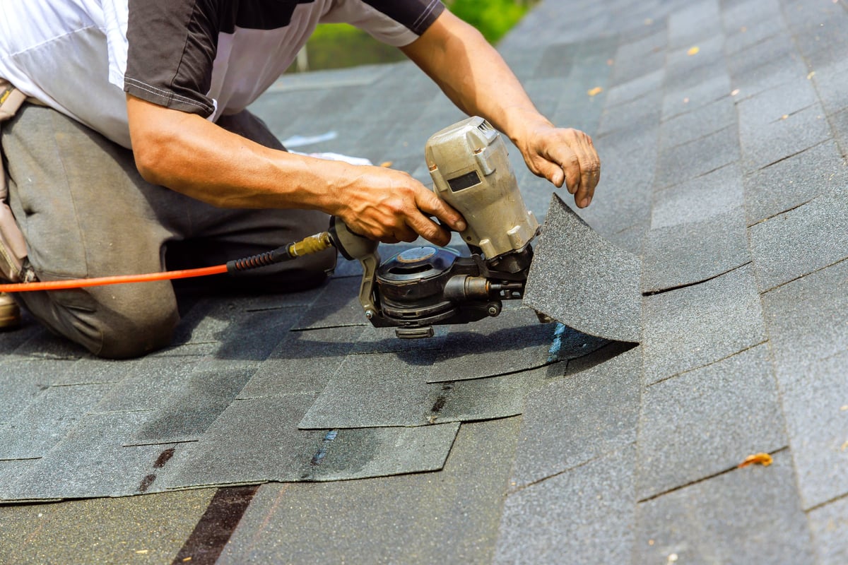 Professional roofer using pneumatic nail gun during new bitumen shingle installation, quality craftsmanship